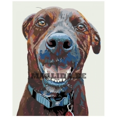 Maalid numbrite järgi A219