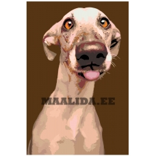 Maalid numbrite järgi A220