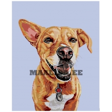 Maalid numbrite järgi A221