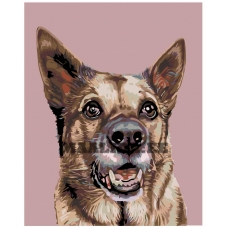 Maalid numbrite järgi A223