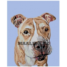 Maalid numbrite järgi A225