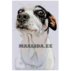 Maalid numbrite järgi A228