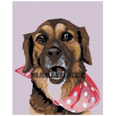 Maalid numbrite järgi A229