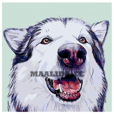 Maalid numbrite järgi A231