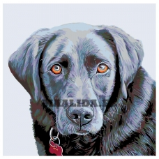 Maalid numbrite järgi A232