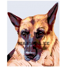 Maalid numbrite järgi A233