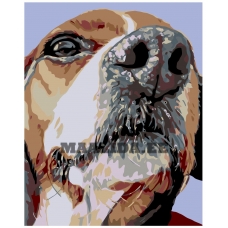 Maalid numbrite järgi A234