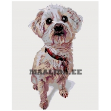 Maalid numbrite järgi A236