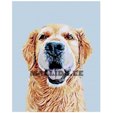 Maalid numbrite järgi A237