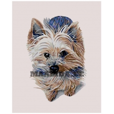 Maalid numbrite järgi A240