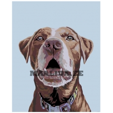 Maalid numbrite järgi A241