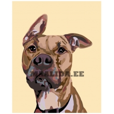 Maalid numbrite järgi A243