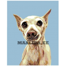 Maalid numbrite järgi A244