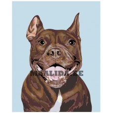 Maalid numbrite järgi A247