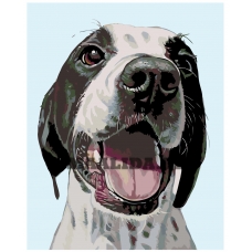 Maalid numbrite järgi A248