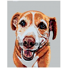 Maalid numbrite järgi A249