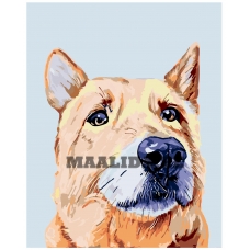 Maalid numbrite järgi A250