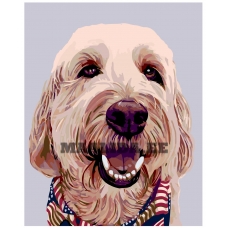 Maalid numbrite järgi A253