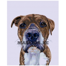 Maalid numbrite järgi A254