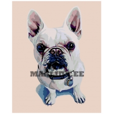 Maalid numbrite järgi A258