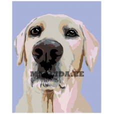 Maalid numbrite järgi A259