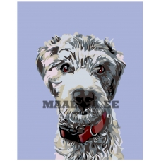 Maalid numbrite järgi A263