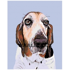 Maalid numbrite järgi A264