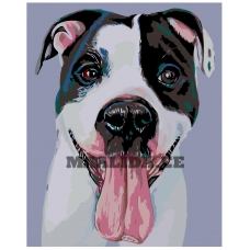 Maalid numbrite järgi A269