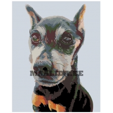 Maalid numbrite järgi A270