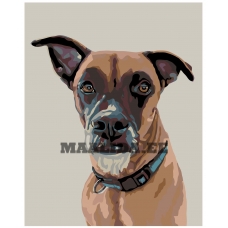 Maalid numbrite järgi A271