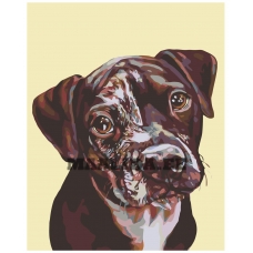 Maalid numbrite järgi A274