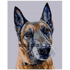 Maalid numbrite järgi A275