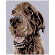 Maalid numbrite järgi A276