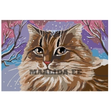 Maalid numbrite järgi A278