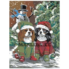 Maalid numbrite järgi A279