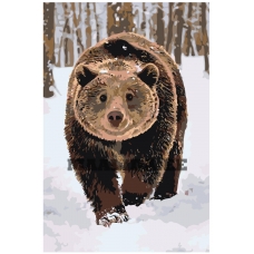 Maalid numbrite järgi A282