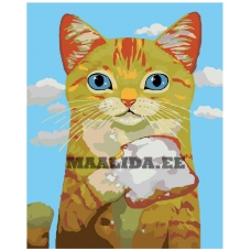 Maalid numbrite järgi A292