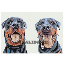 Maalid numbrite järgi A302