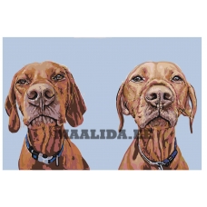 Maalid numbrite järgi A303