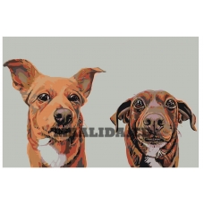 Maalid numbrite järgi A304