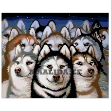 Maalid numbrite järgi A306