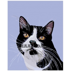 Maalid numbrite järgi A310