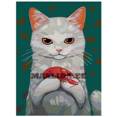 Maalid numbrite järgi A316