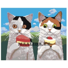 Maalid numbrite järgi A320