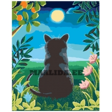 Maalid numbrite järgi A322