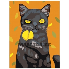 Maalid numbrite järgi A332