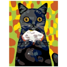 Maalid numbrite järgi A336