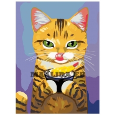 Maalid numbrite järgi A339