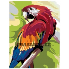 Maalid numbrite järgi A353