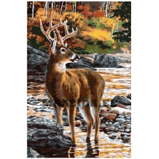 Maalid numbrite järgi A356